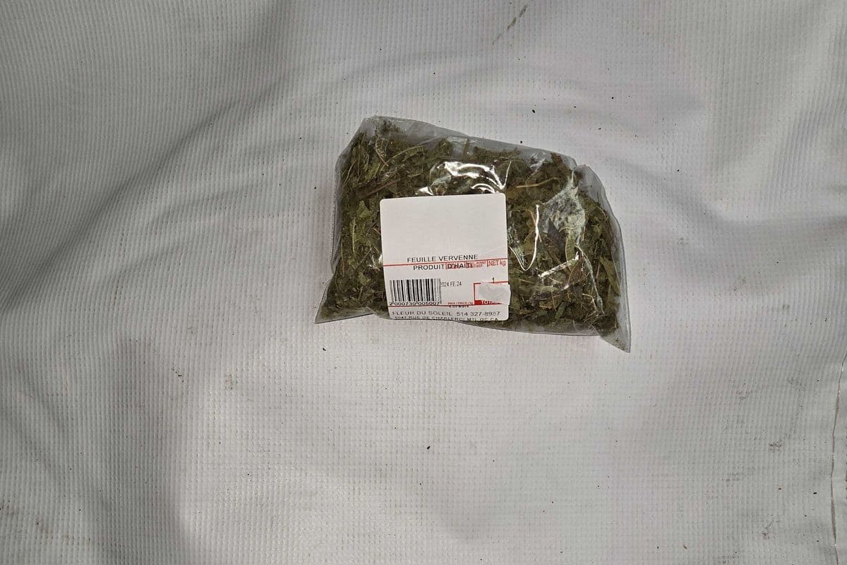 FEUILLE VERVEINE