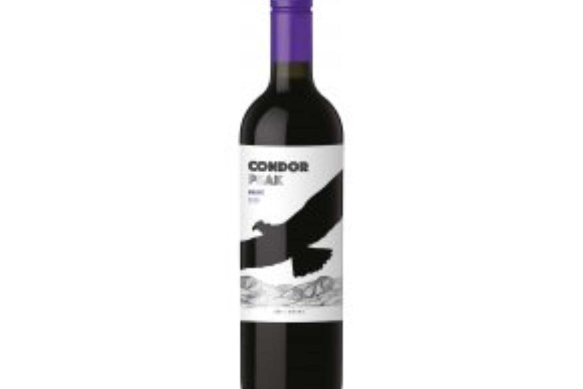 Condor Peak Malbec (1 x 750Ml)