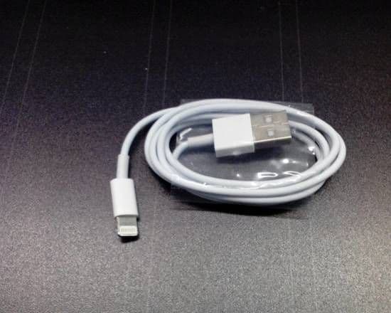iPhone Charger