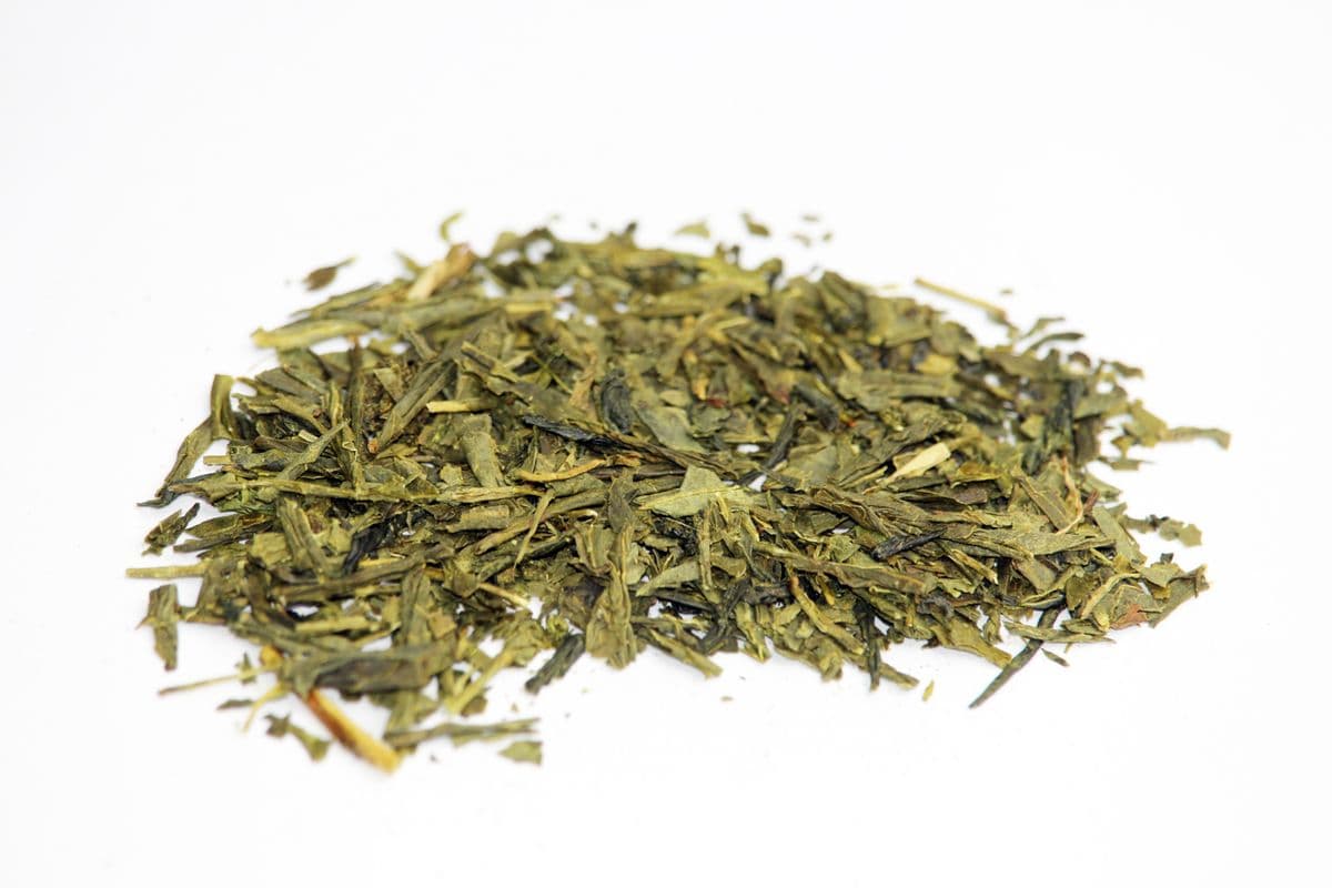 Sencha Fujiama - Green Tea
