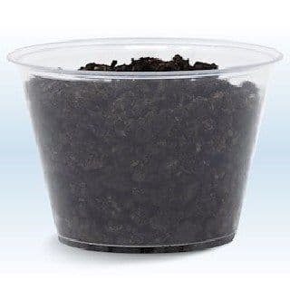 Oreo / Oreo