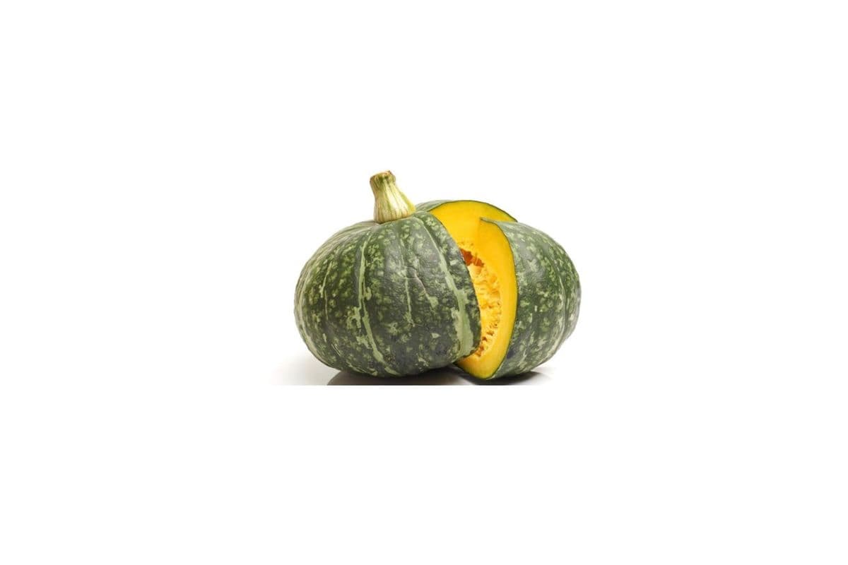 Kombucha Squash (1 Count)