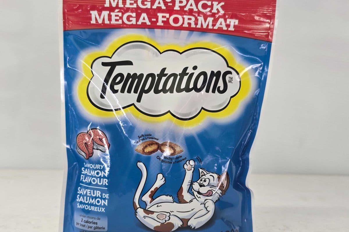 Temptations salmon flavour (180g)