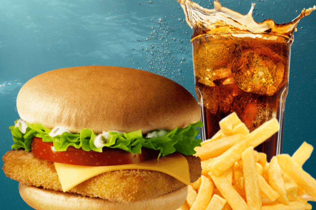 Fish Burger Combo