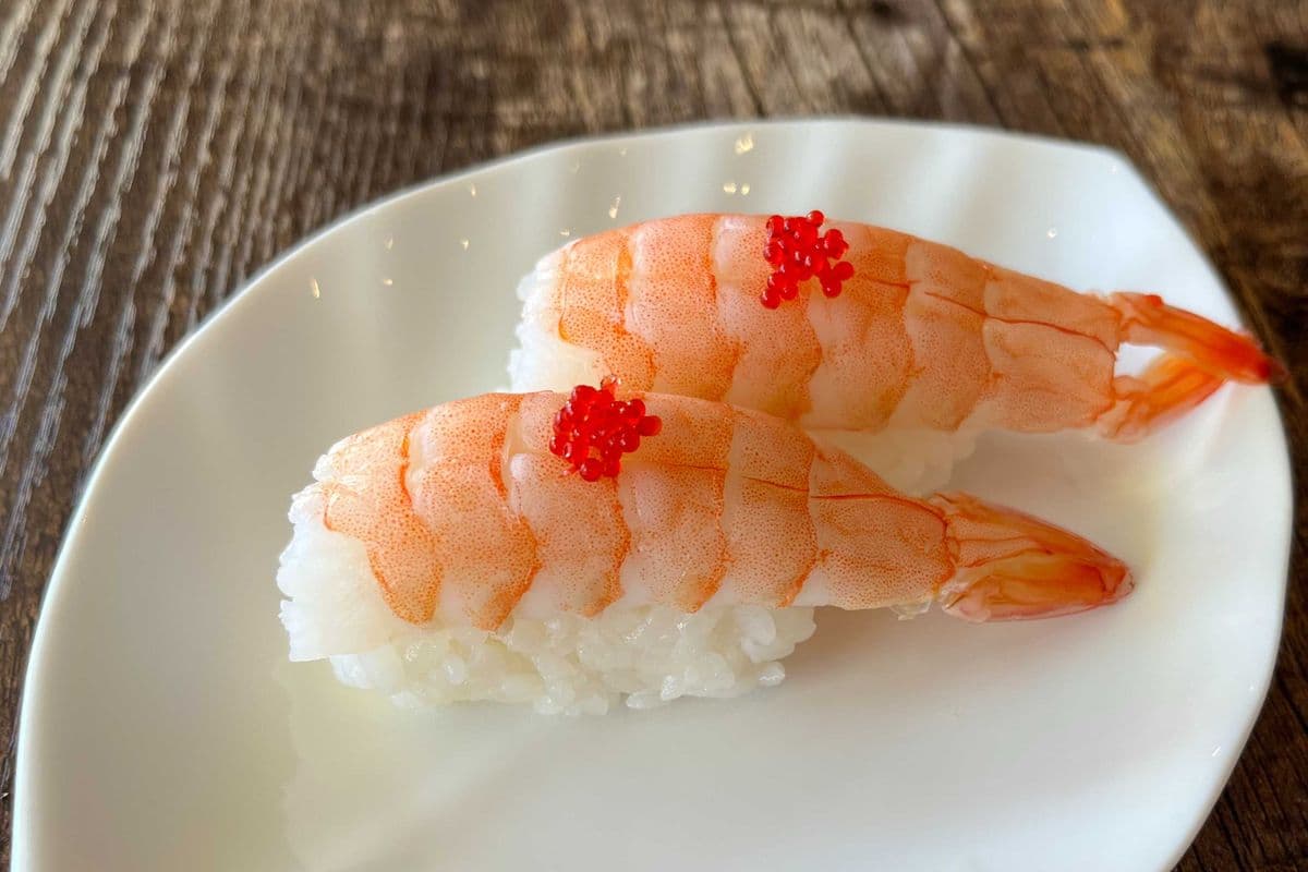 NG03. Crevette / NG03. Shrimp