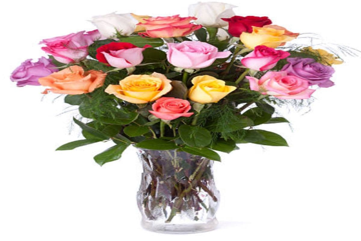 Colorburst Roses Colourful