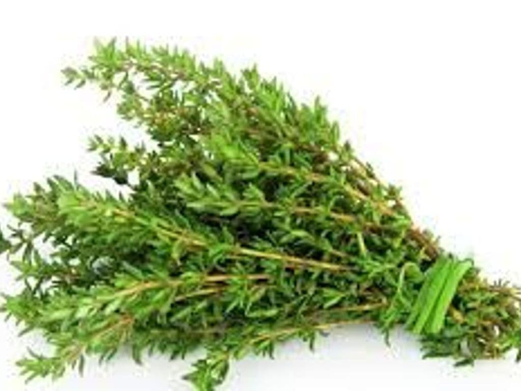 FRESH THYME 1 OZ