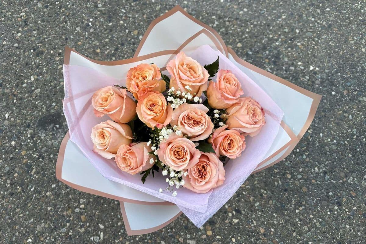 Premium Dozen Roses Special - Peach