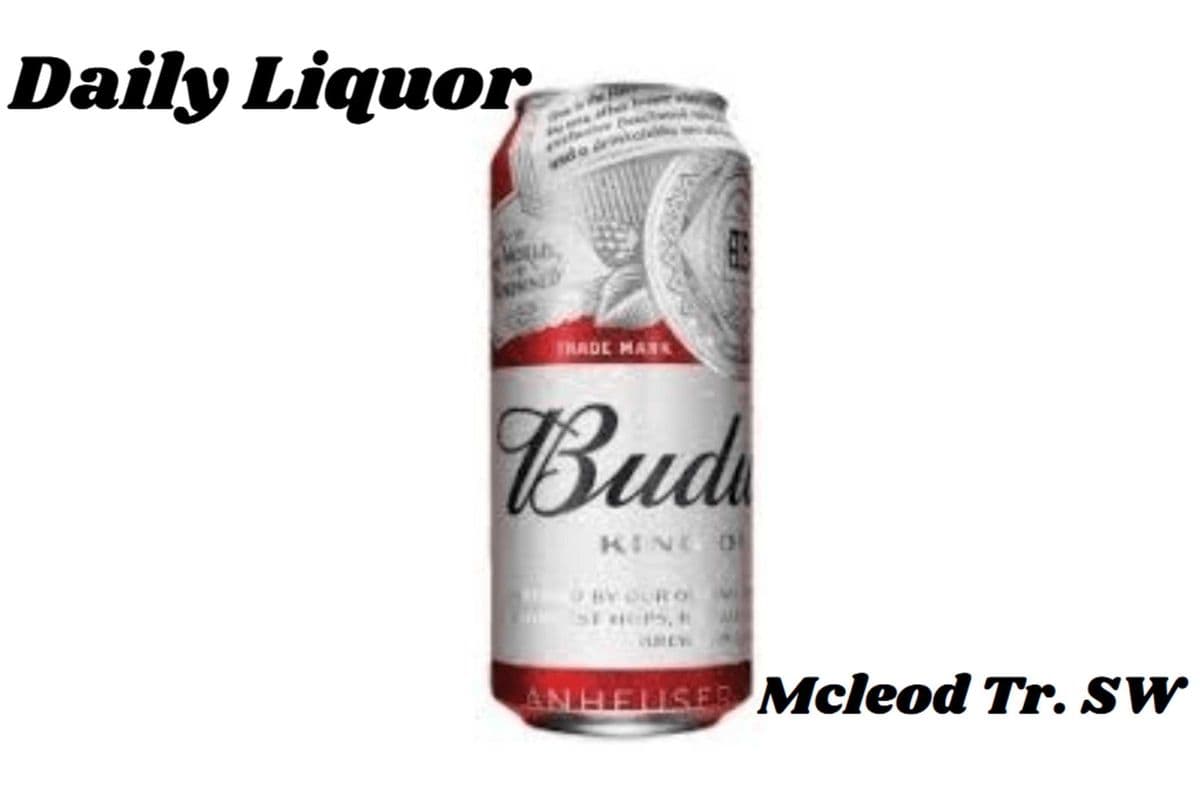 BUDWEISER 740ML (1 x 740ML)