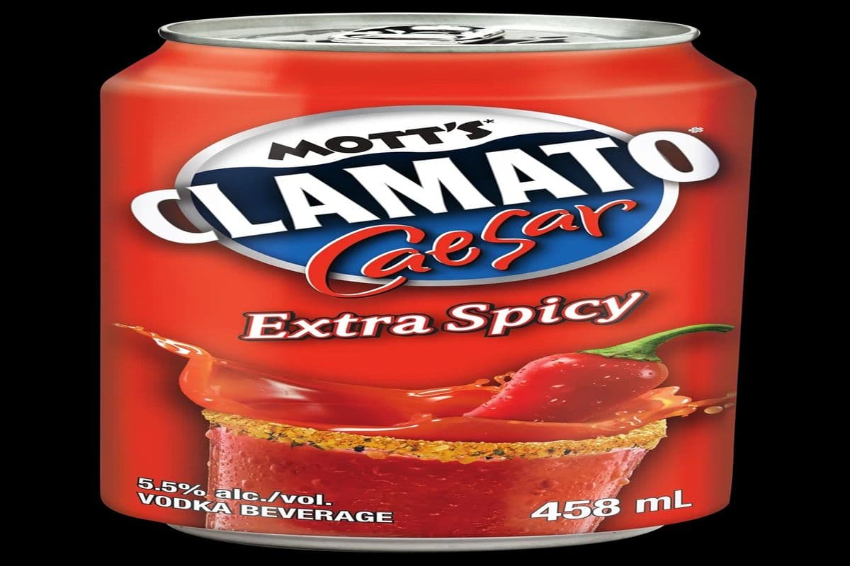 MOTT'S SPICY (458ML) 5.5% ABV (1 x 458 mL)