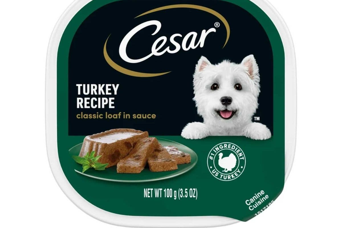 Cesar Turkey Recipe