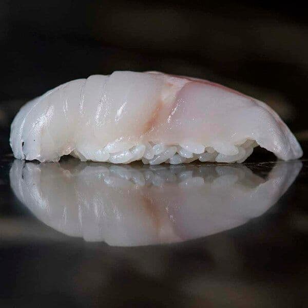 Nigiri - Seabass