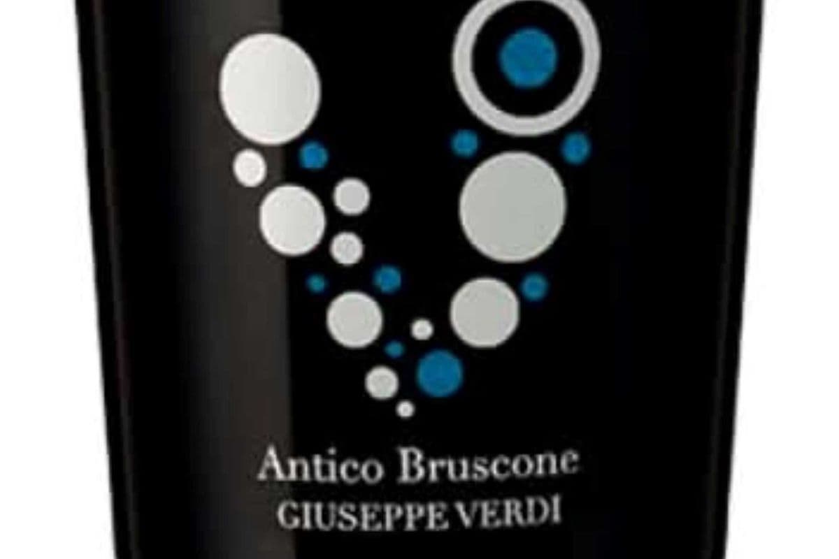 Ceci Giuseppe Verdi Antico Bruscone Lambrusco - 750mL (1 x 750ml)