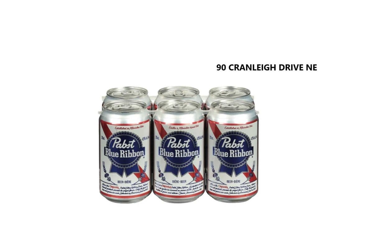 PABST BLUE RIBBON CANS (1 x 6X355ML)