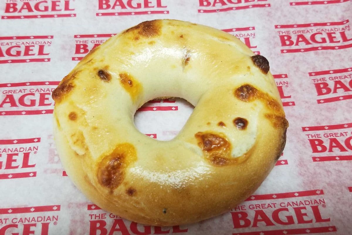 Cheddar Swiss Bagel