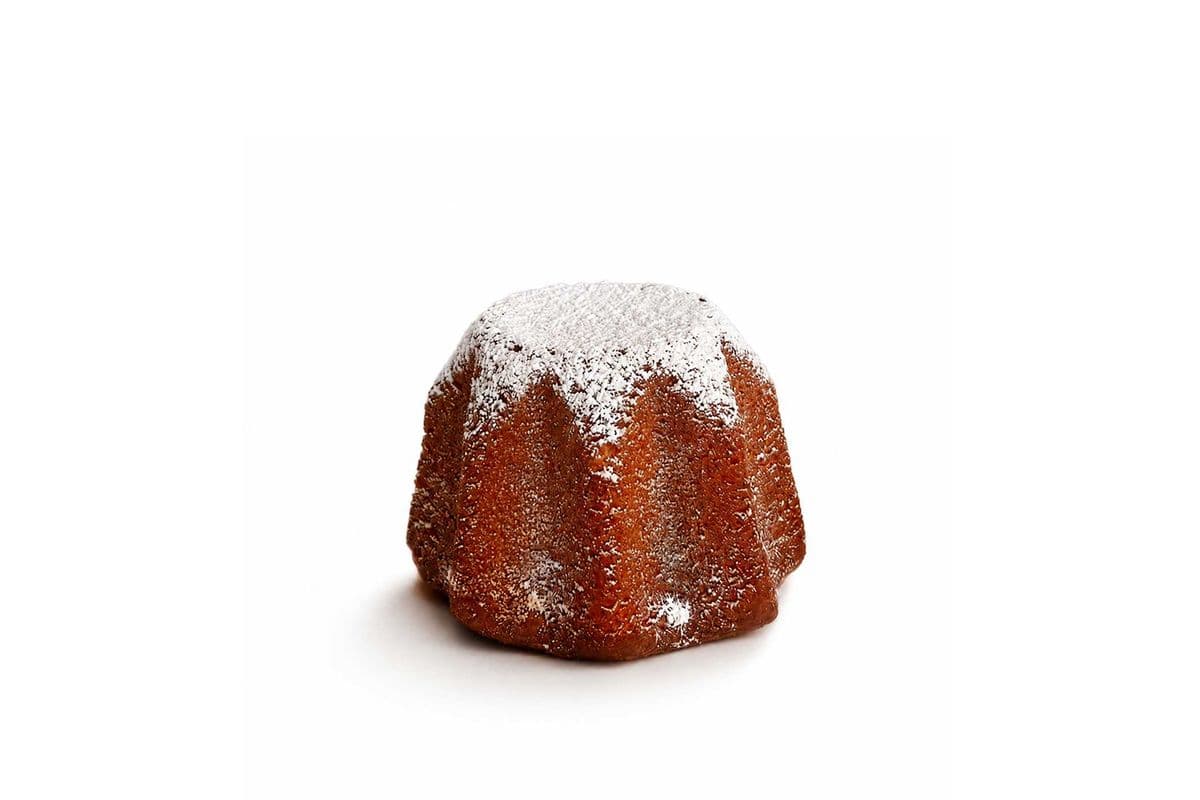 Orange Pandoro