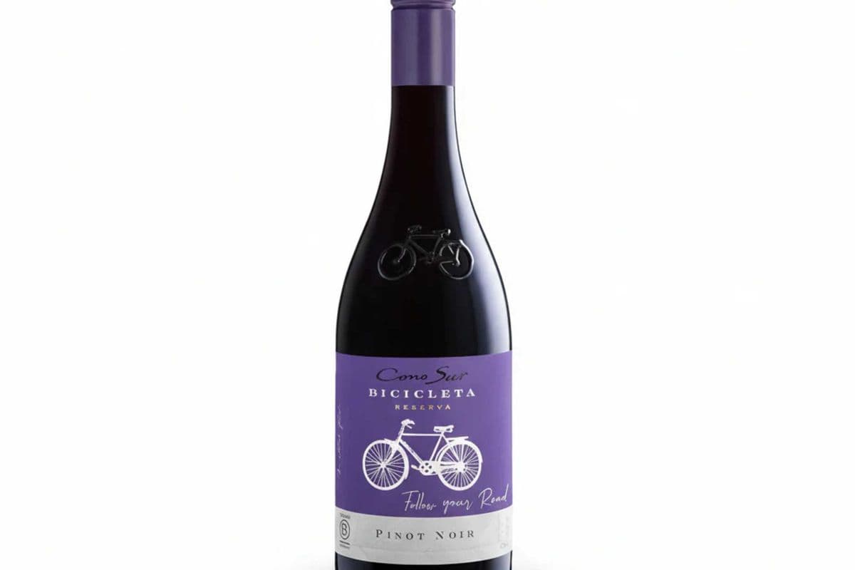 Cono Sur Bicicleta Pinot Noir (750ml) (1 x 750ml)