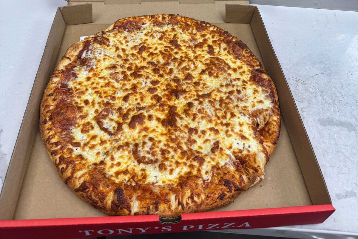 12" Medium Plain Pizza