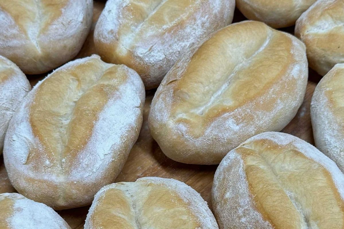 Paposeco Bun