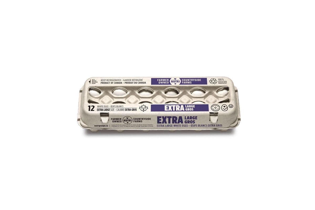 Extra Large Eggs