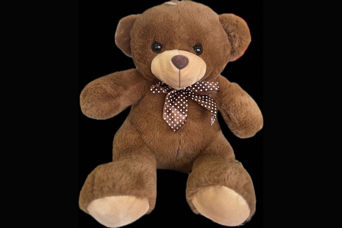 Brown Snugz Teddy Bear – Plush & Huggable