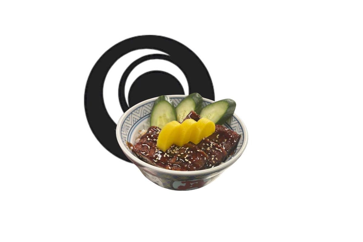 Unagi Don