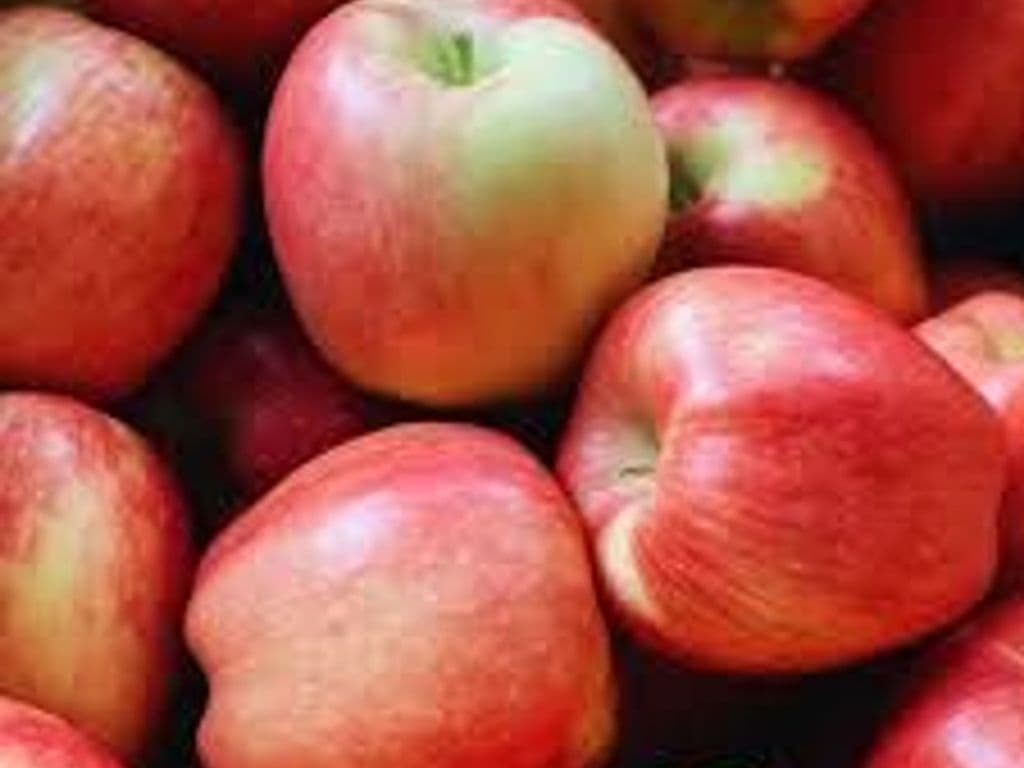 Straight apple