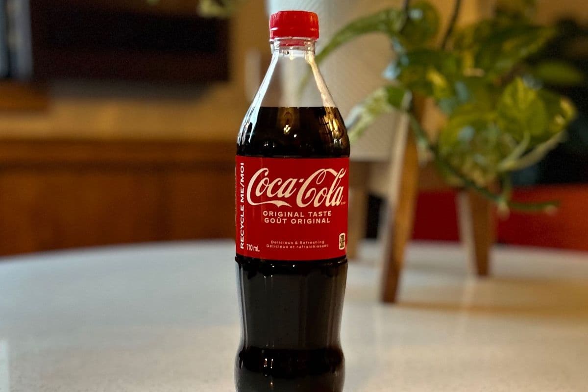 Bottle coke (710 ml)
