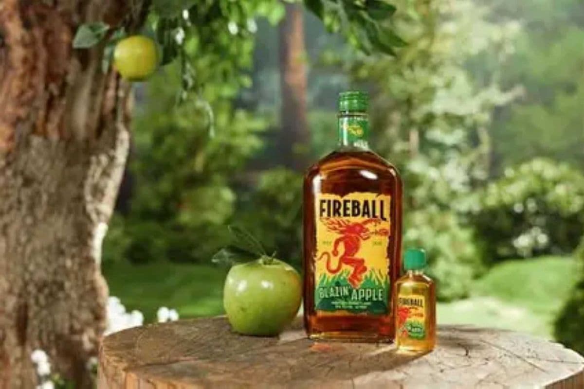 1c Fireball Apple Cinnamon Whiskey (1 x 473ml)
