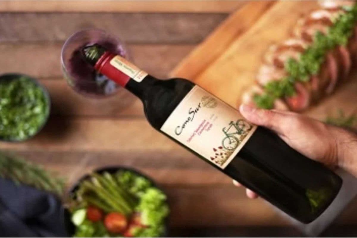 CONO SUR ORGANIC CAB CARM (1 x 750 ML)