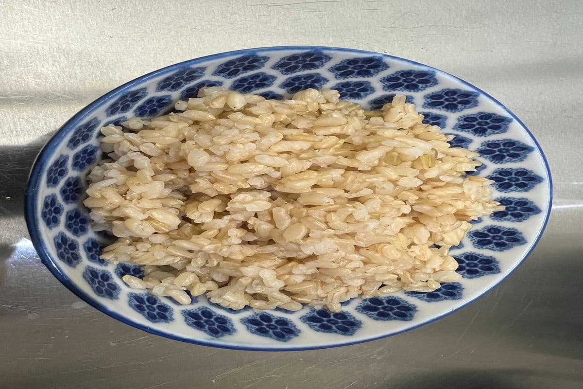 Brown Rice