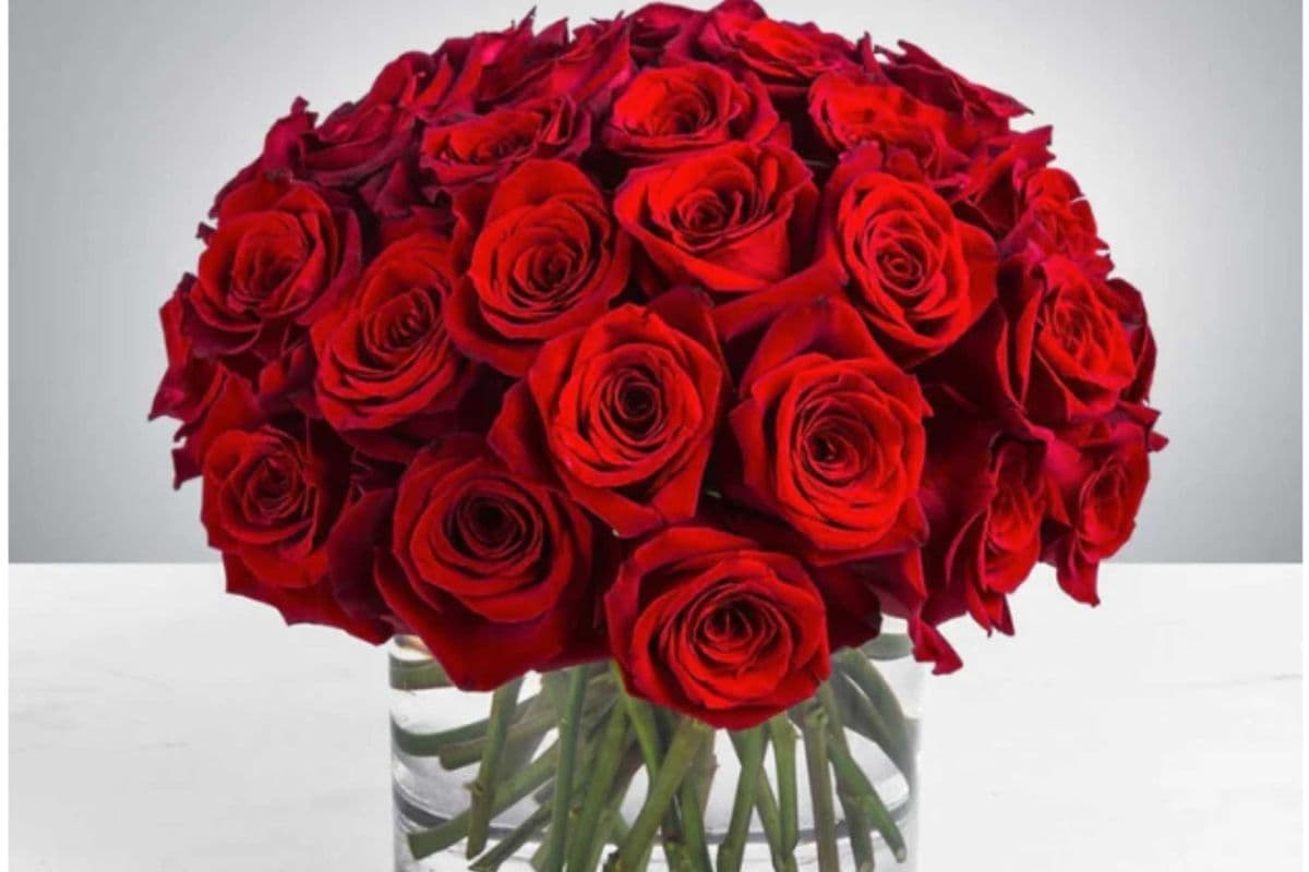 Grand Romance - 36 Long Stem Roses