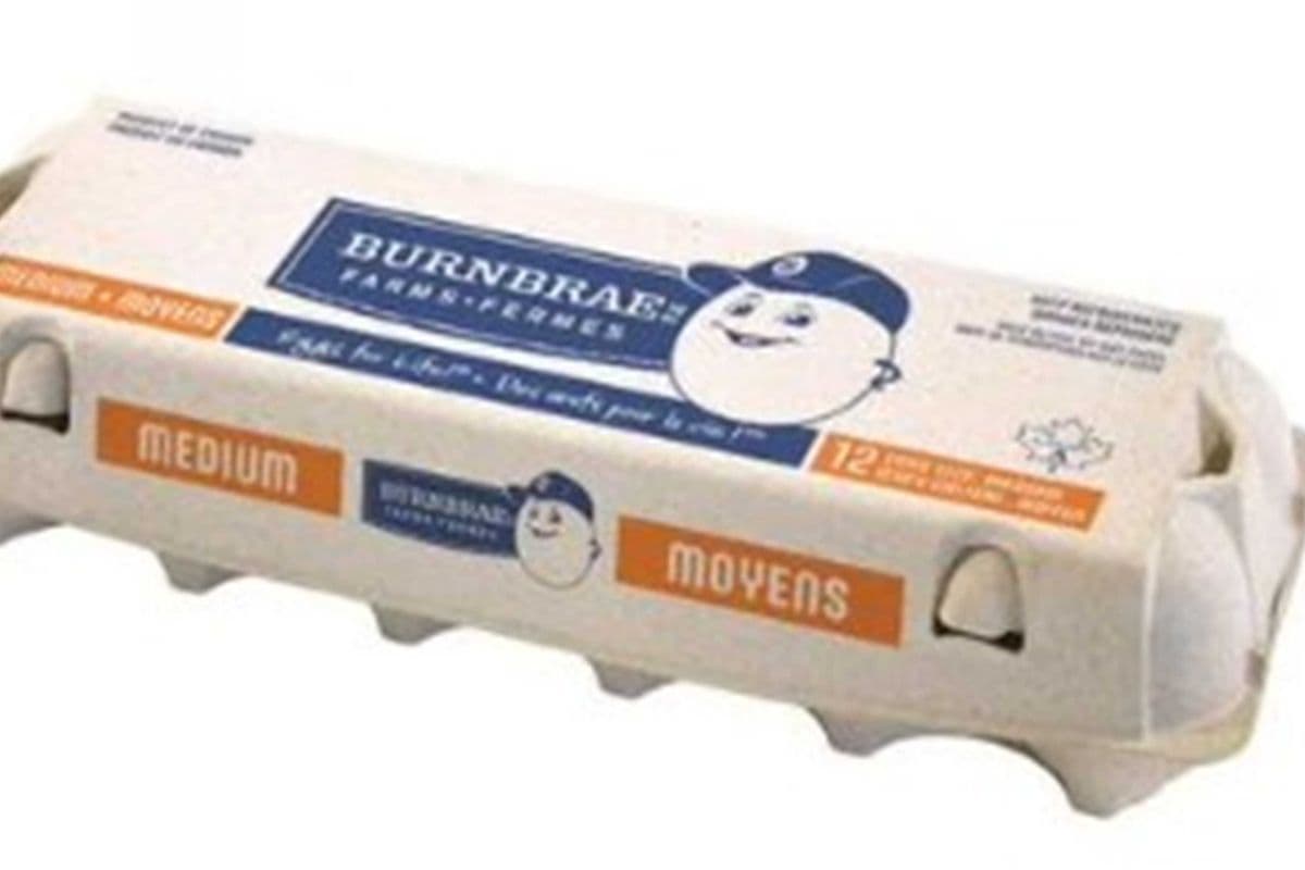 BURNBRAE EGGS 12'S MEDIUM