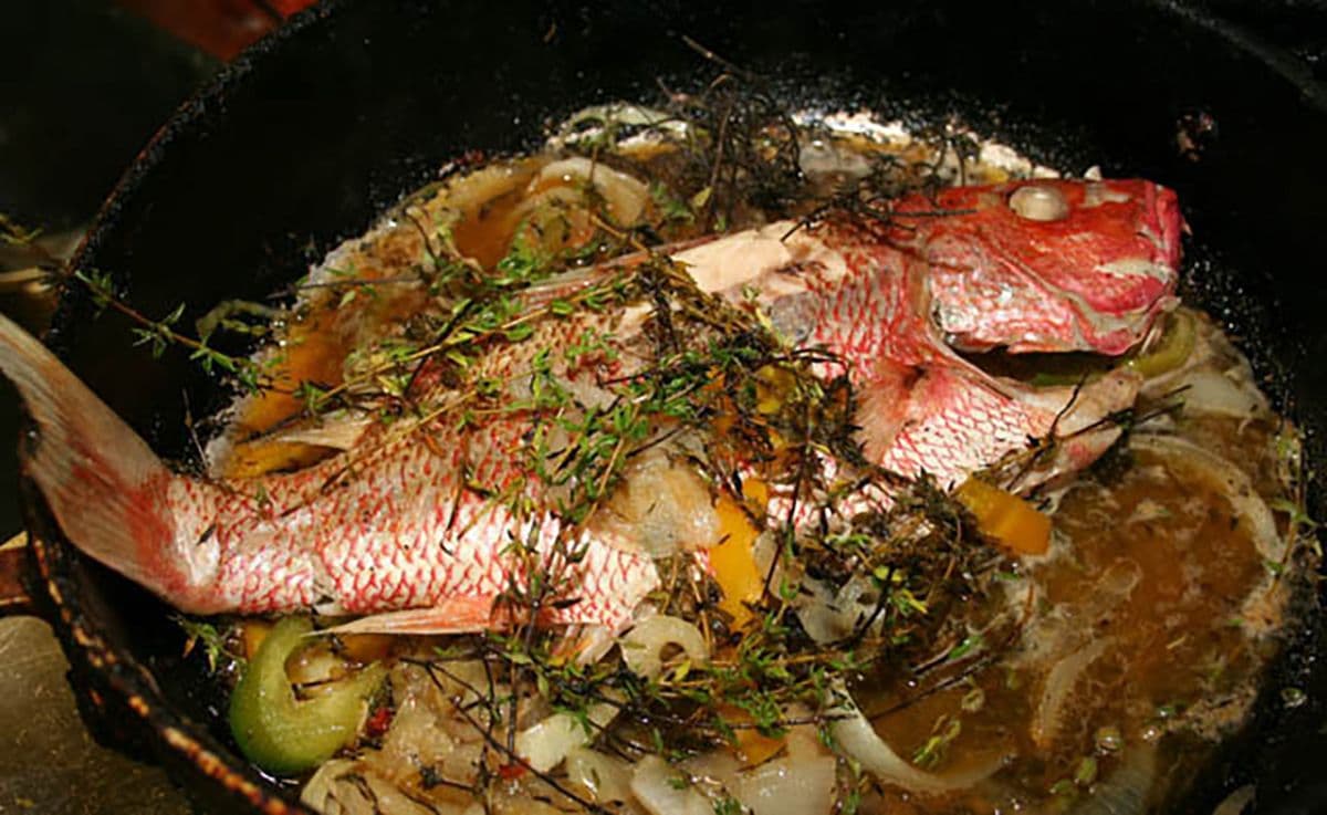 Steam Fish