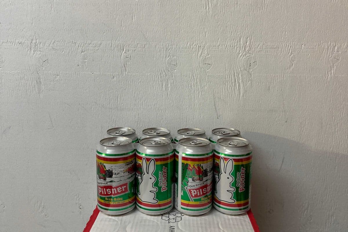 Pilsner (8 Pack) (1 x 8 PK)