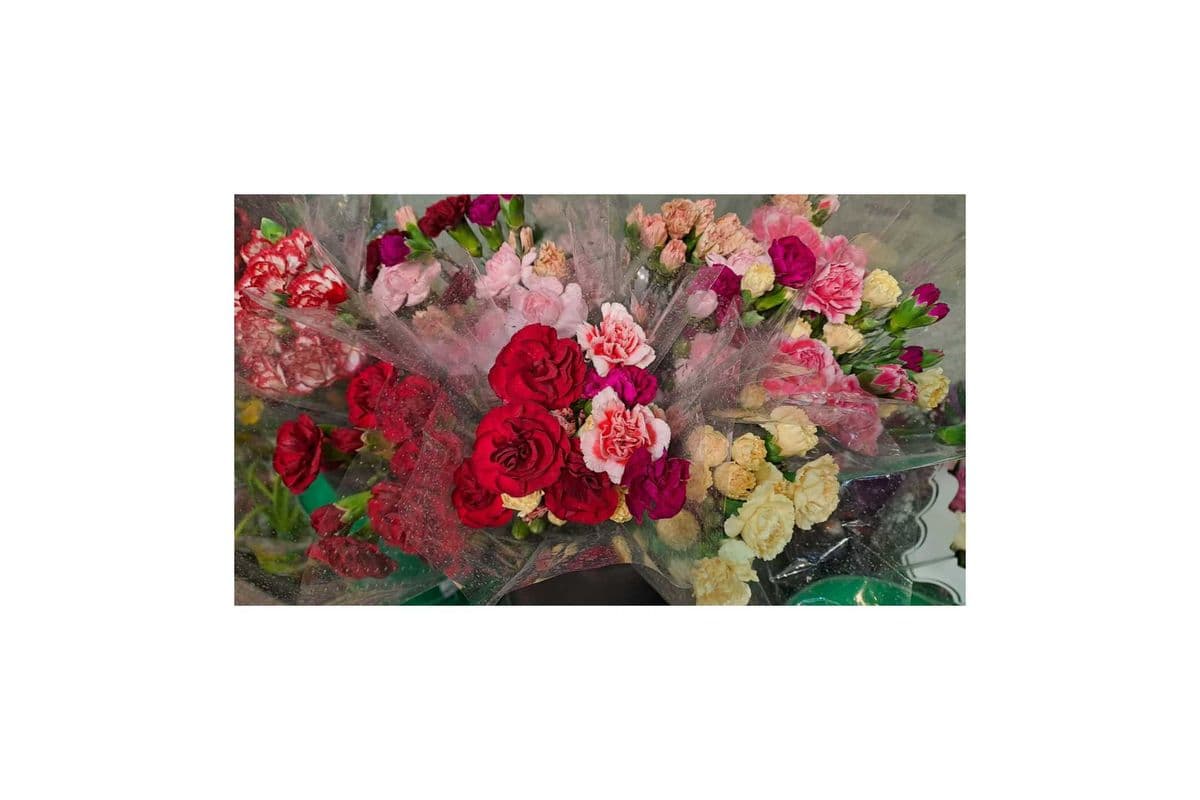 Alice Mini Carnations Bouquets