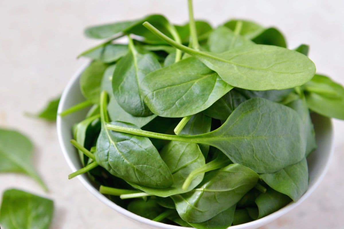 Spinach ( LARGE BAG)