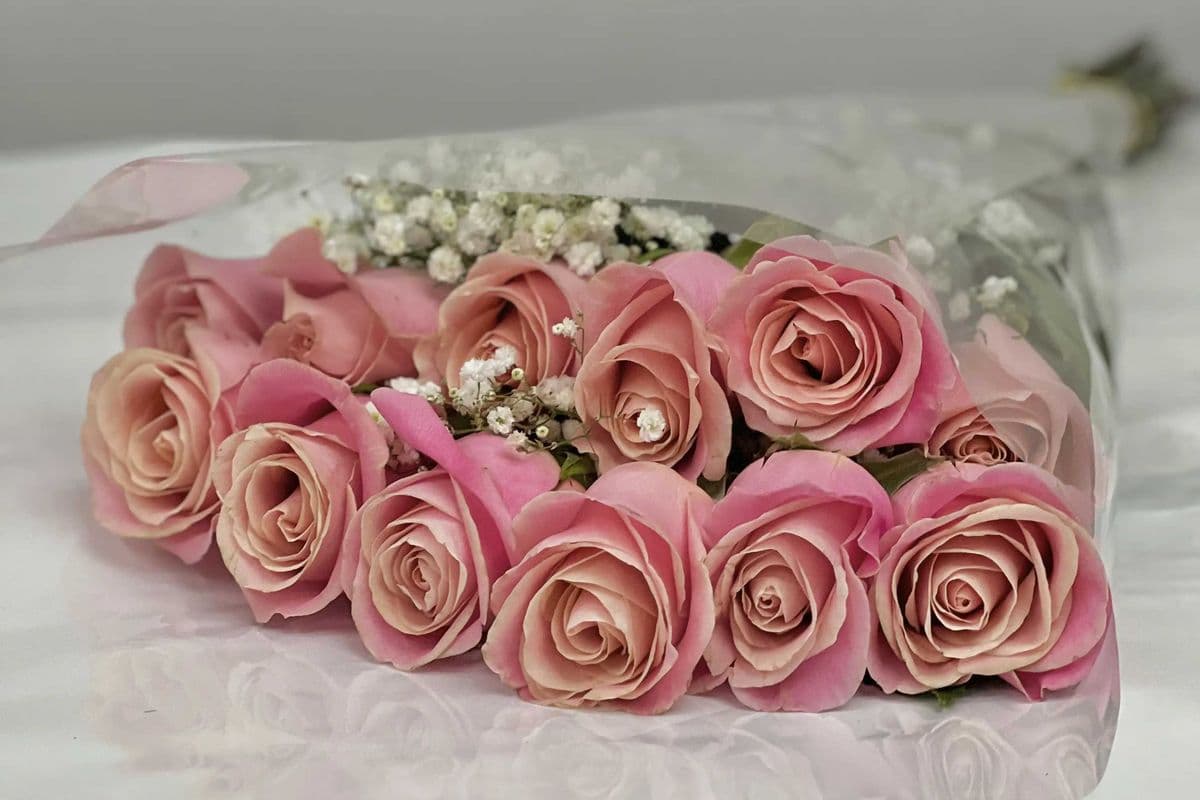 A Dozen Pink Roses