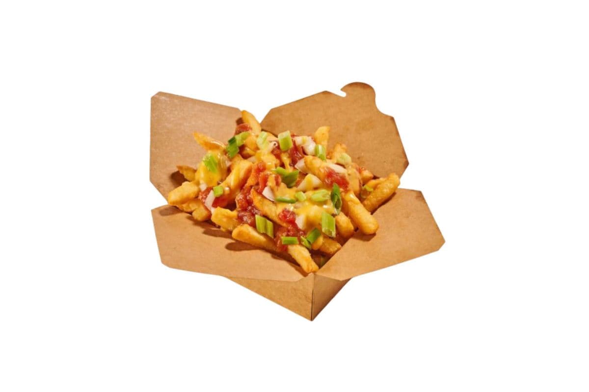 Cheesy Salsa Fries