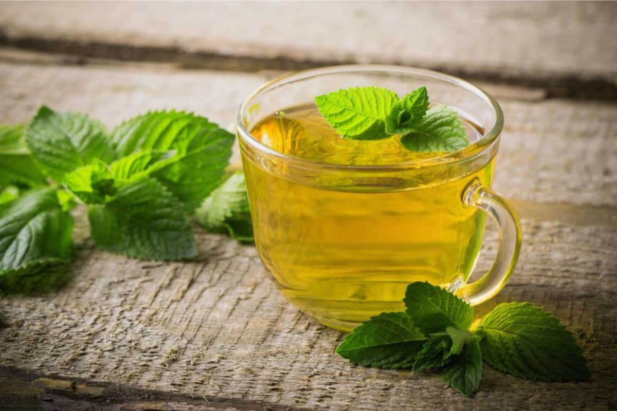 Peppermint Tea (8oz)