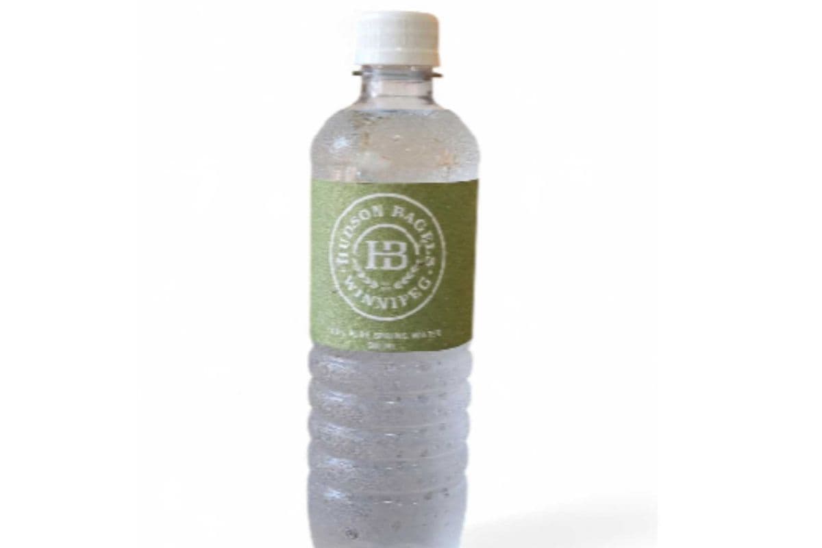 Bottle of Water (500 ml)