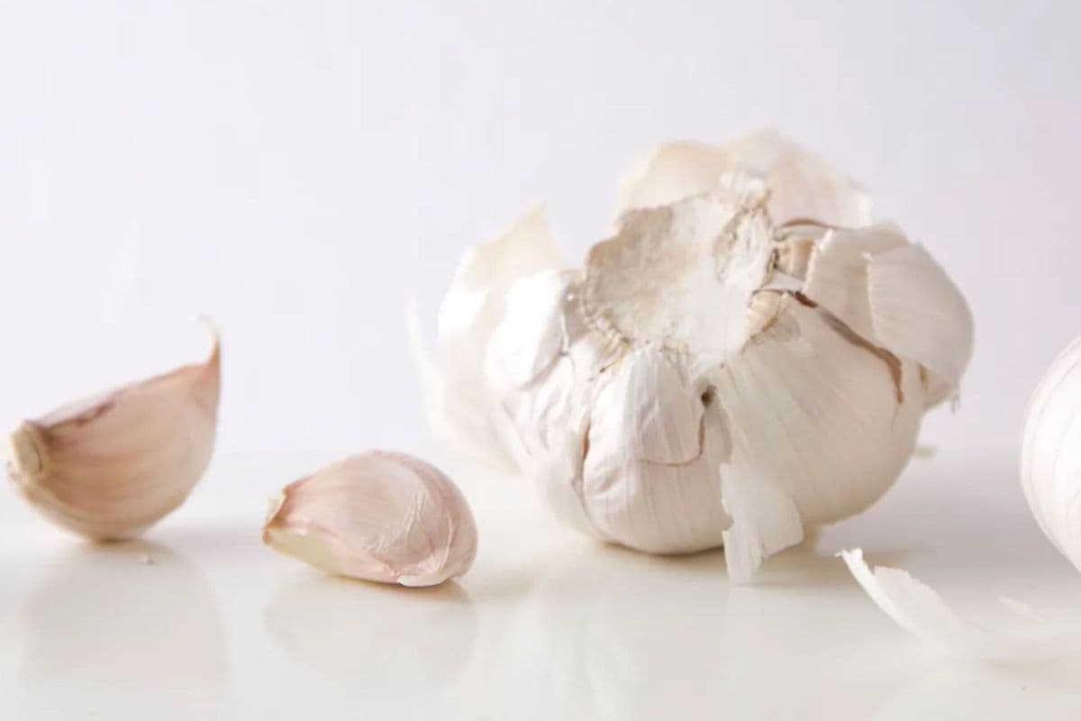 Garlic (3 Pack)
