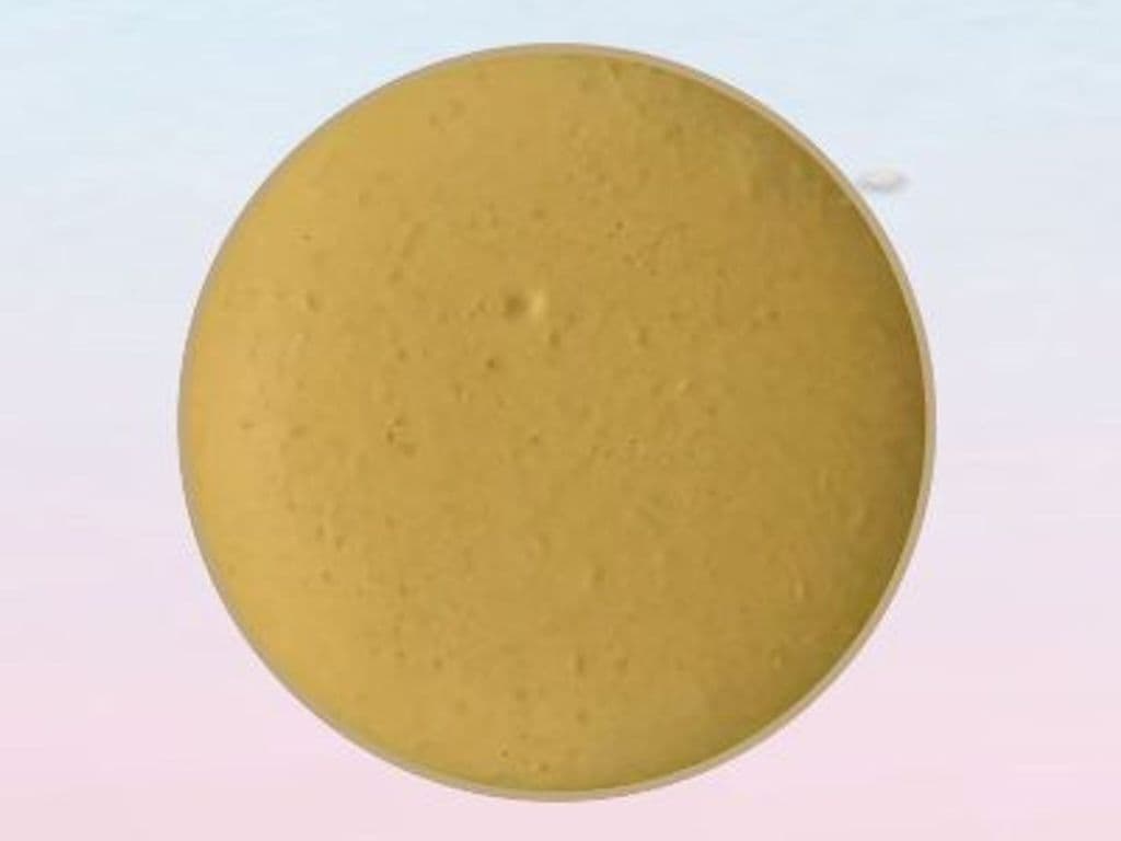 Salted Caramel Macaron 海盐焦糖马卡龙