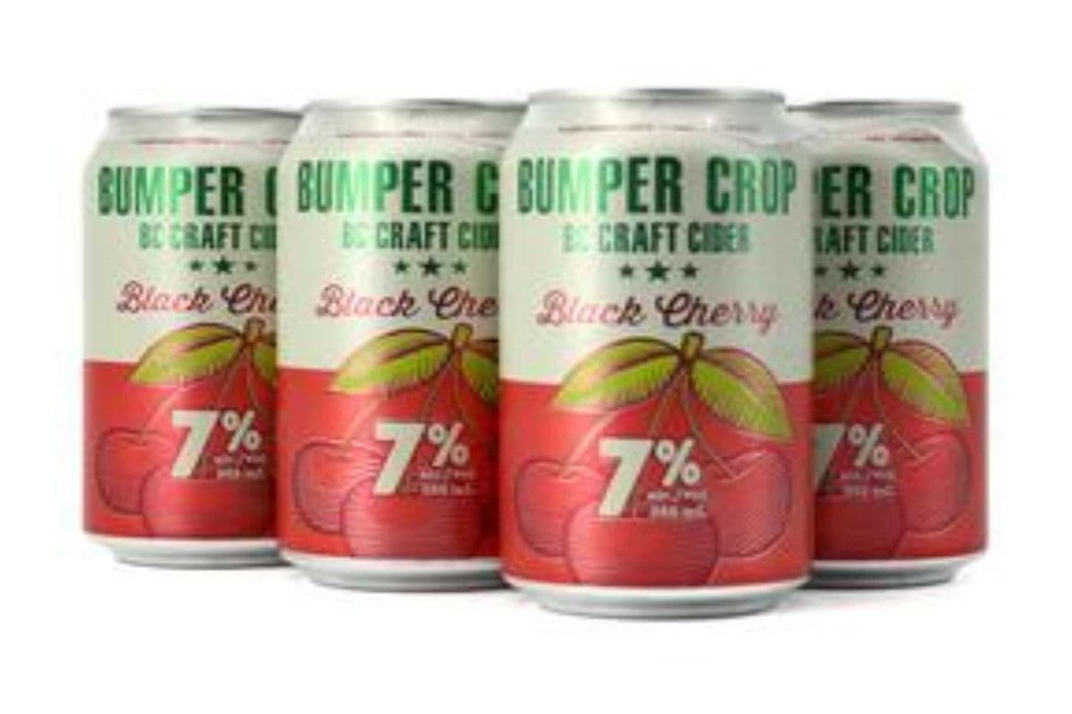 BUMPER CROP BLACK CHERRY CIDER6*355ML CANS (1 x 6*355ML)