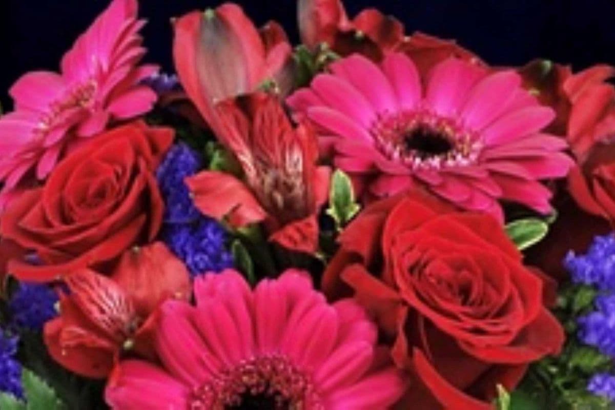 Beautiful Romance Designer's Special Hand Tied Bouquet $89.95- Vase add on available