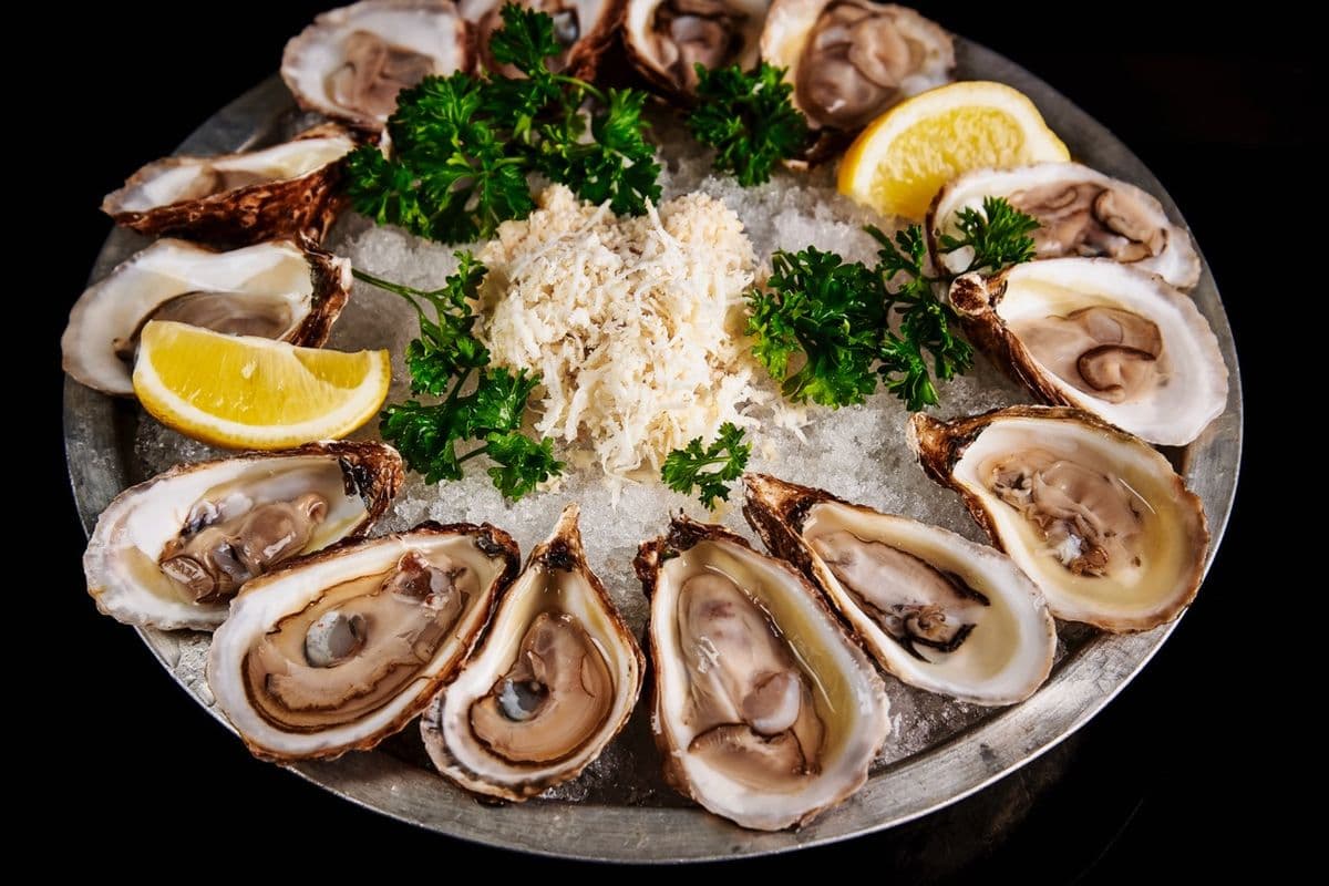 East Coast Oyster (12 Oysters)