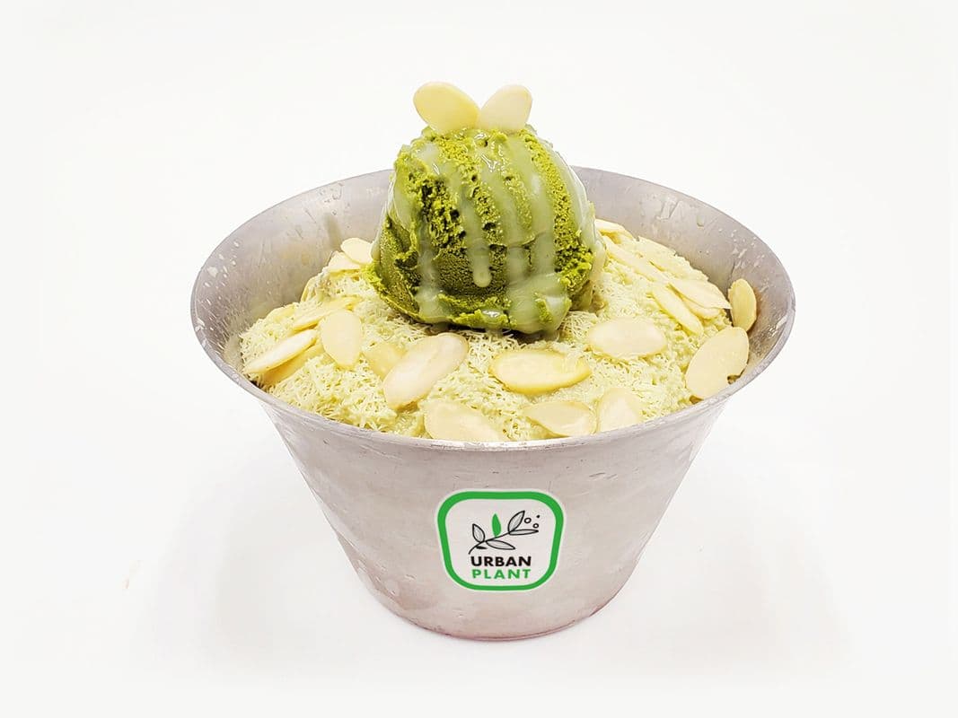 Matcha Bingsu