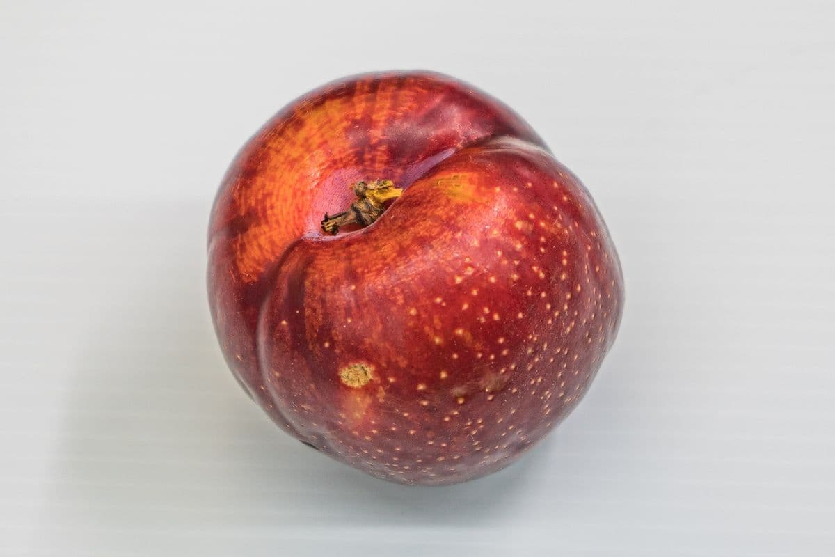 Prune (1 lb) / Plum (1 lb)