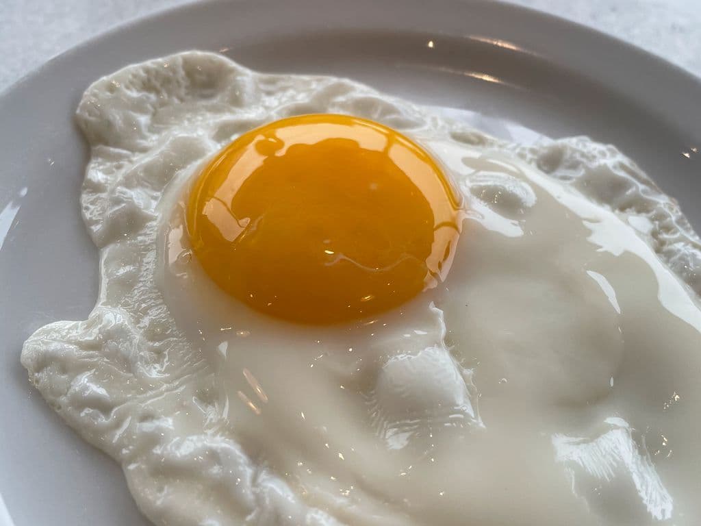 Oeuf/ Egg