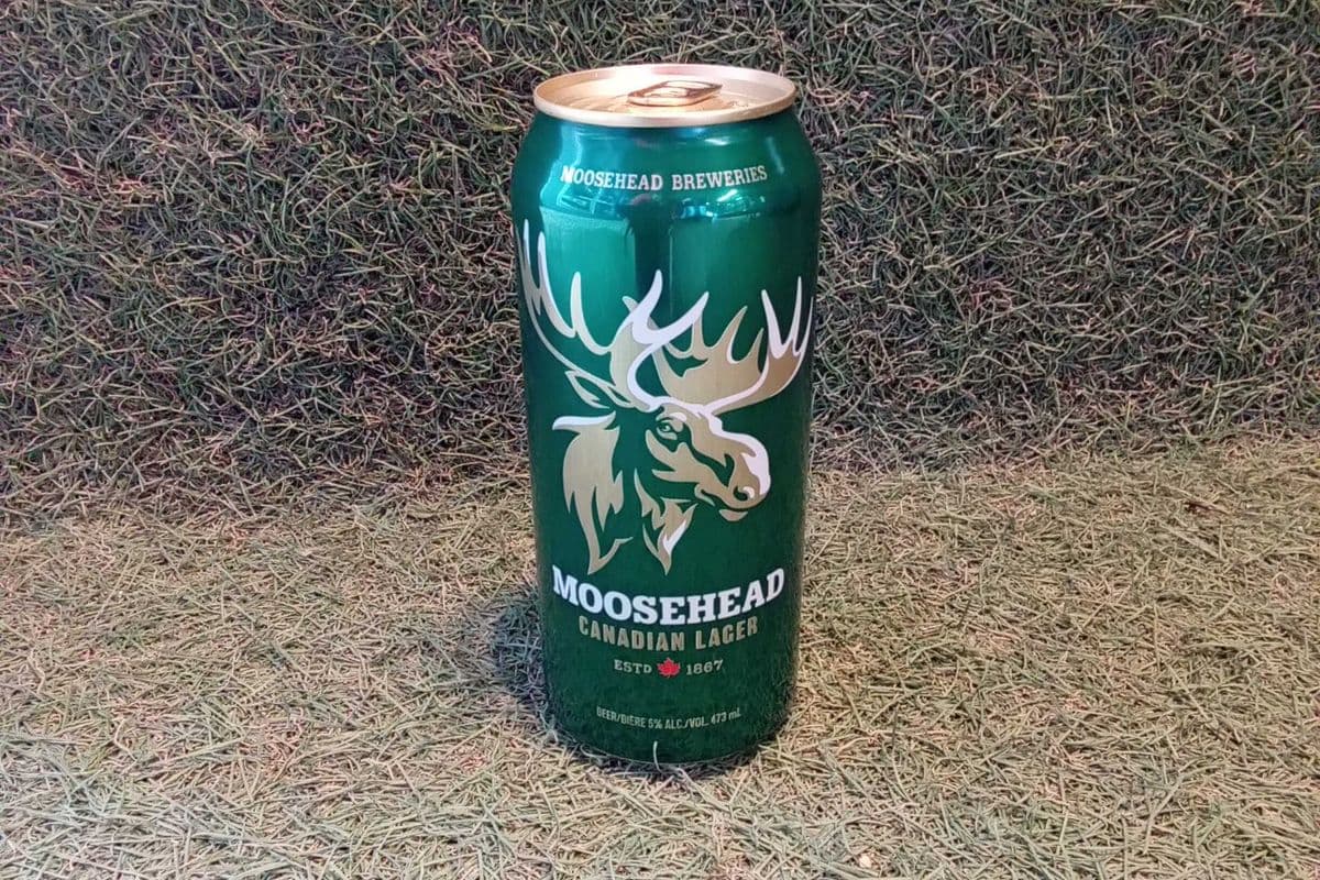 Moosehead Lager (1 x 473 ml)